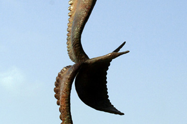 Bird in Wind, 2008